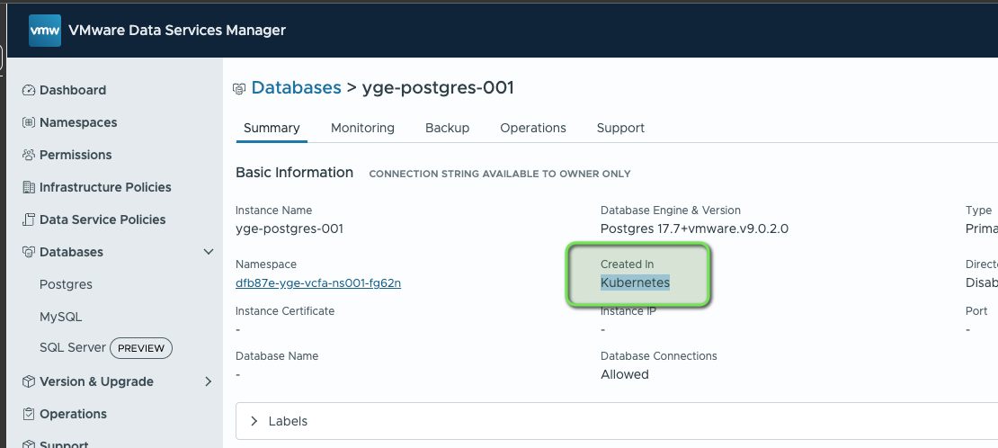DSM UI managed by VCFA
